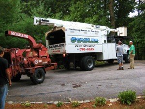 Tree Removal in Simpsonville MD