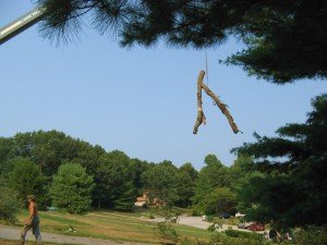 Tree Removal in Sykesville MD