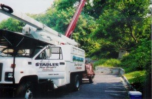 baltimore county tree removal